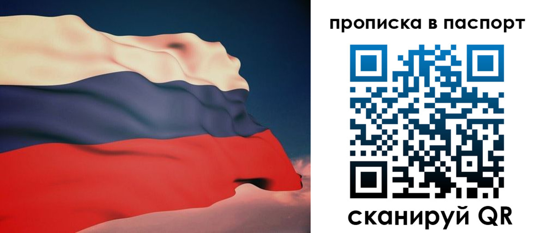 прописка в квартире в Сельцо